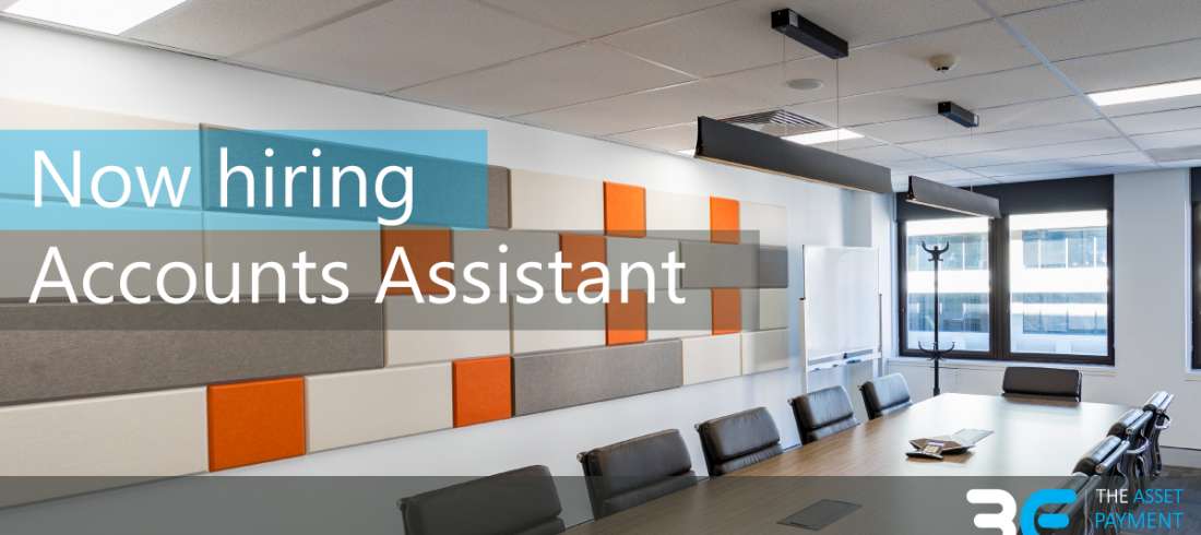 Accounts Assistant